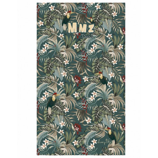 Toucans