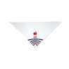 Foulard Bandana produit officiel FRANCE RUGBY