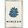 Post card : Pine nuts
